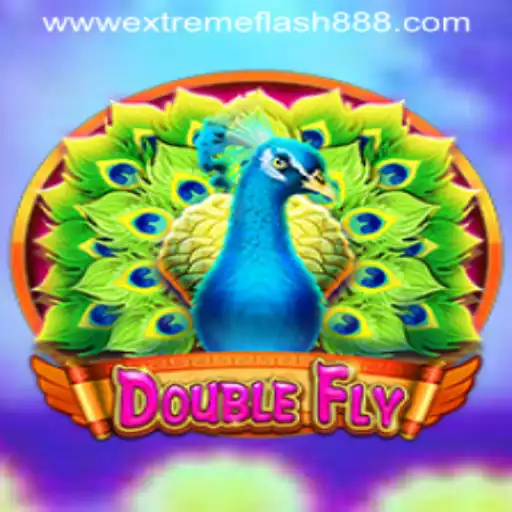 DoubleFly: Master the Skies with ExtremeFlash888